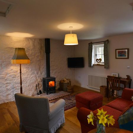 Dandelion Cottage, أمروث المظهر الخارجي الصورة
