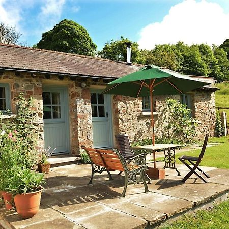 Dandelion Cottage, أمروث المظهر الخارجي الصورة