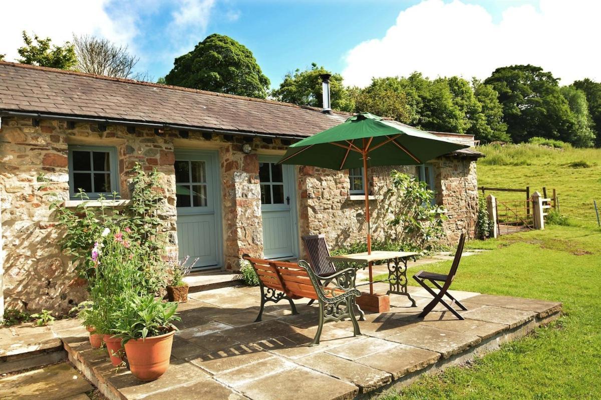 Dandelion Cottage, أمروث المظهر الخارجي الصورة